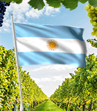 Vinhos Argentinos