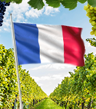 Vinhos Franceses